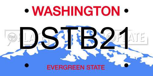 DSTB21 Washington License Plate