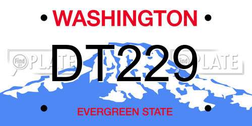 DT229 Washington License Plate