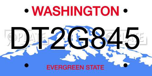 DT2G845 Washington License Plate