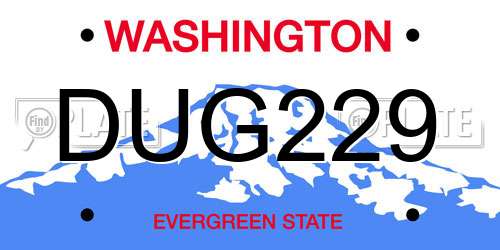 DUG229 Washington License Plate