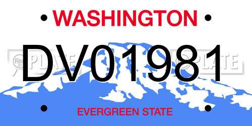 DV01981 Washington License Plate