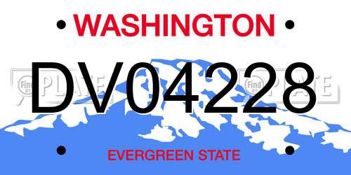DV04228 Washington License Plate