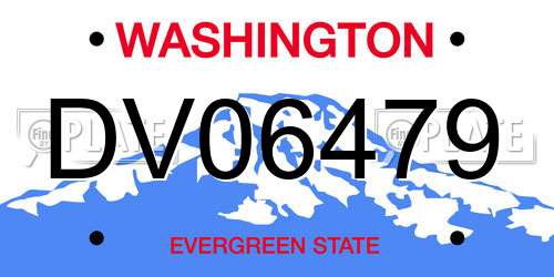 DV06479 Washington License Plate