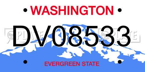 DV08533 Washington License Plate
