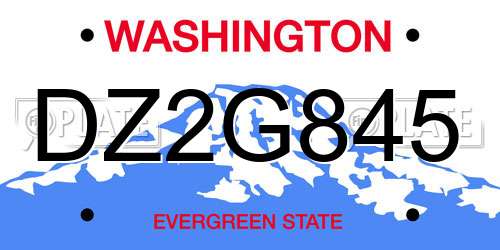 DZ2G845 Washington License Plate