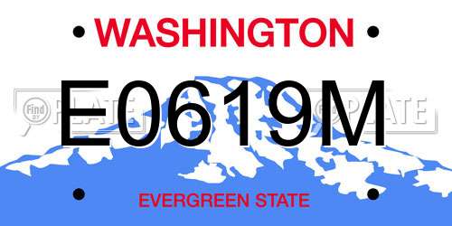 E0619M Washington License Plate