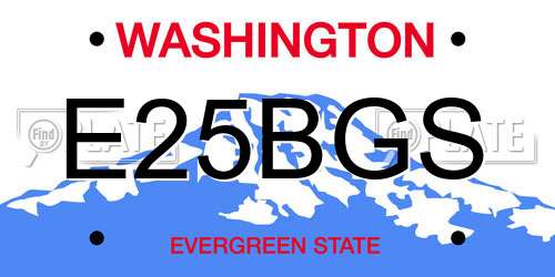 E25BGS Washington License Plate