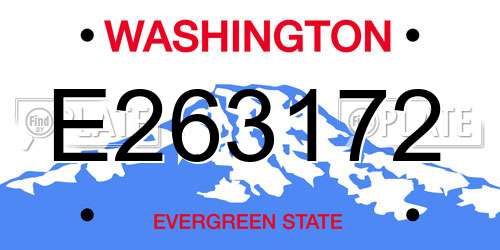E263172 Washington License Plate