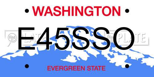 E45SSO Washington License Plate