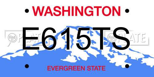 E615TS Washington License Plate