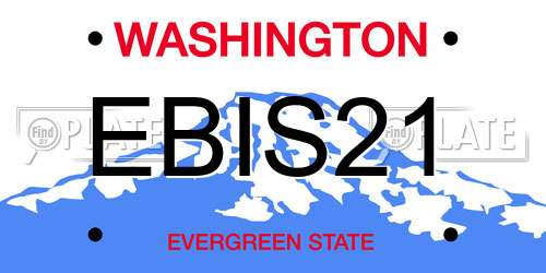 EBIS21 Washington License Plate