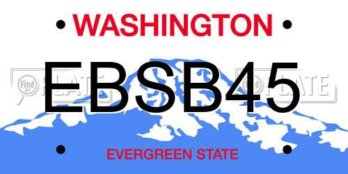 EBSB45 Washington License Plate