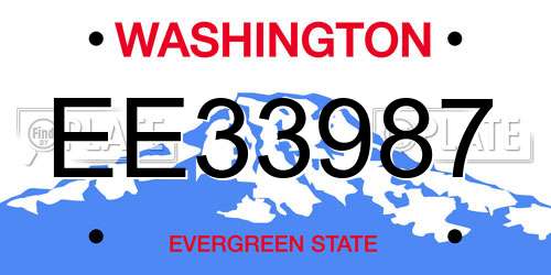 EE33987 Washington License Plate