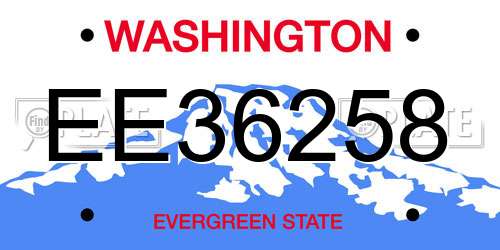 EE36258 Washington License Plate