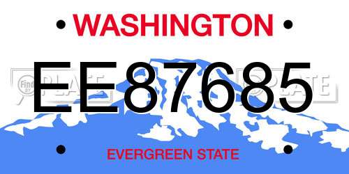 EE87685 Washington License Plate