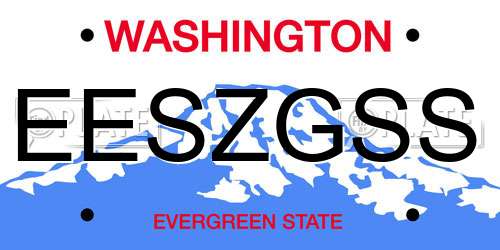EESZGSS Washington License Plate