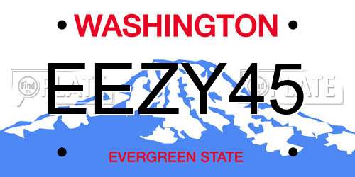 EEZY45 Washington License Plate