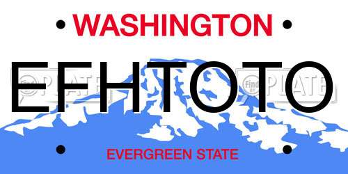 EFHTOTO Washington License Plate