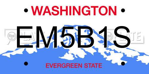 EM5B1S Washington License Plate