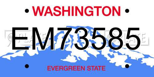 EM73585 Washington License Plate
