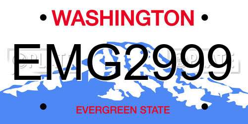 EMG2999 Washington License Plate