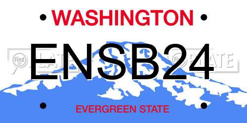 ENSB24 Washington License Plate