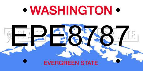 EPE8787 Washington License Plate