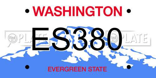 ES380 Washington License Plate
