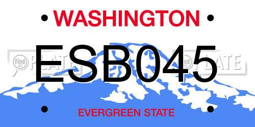 ESB045 Washington License Plate