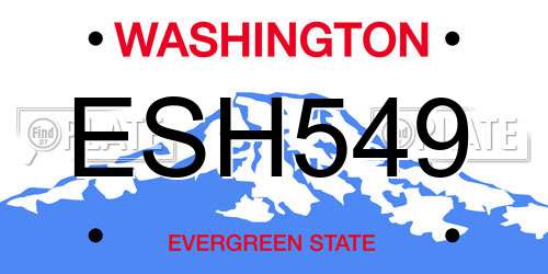 ESH549 Washington License Plate