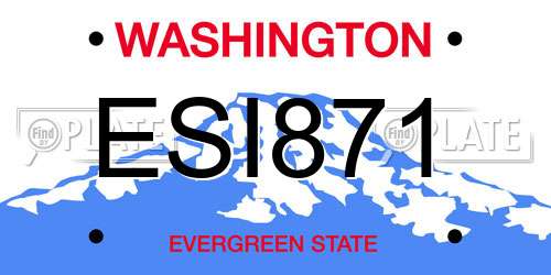 ESI871 Washington License Plate