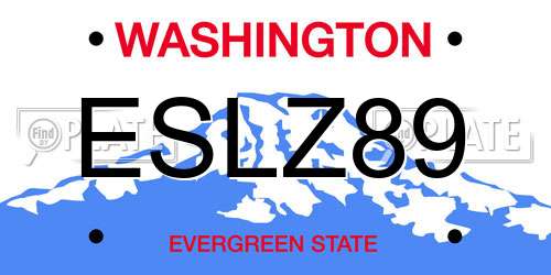 ESLZ89 Washington License Plate