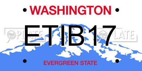 ETIB17 Washington License Plate