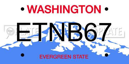 ETNB67 Washington License Plate
