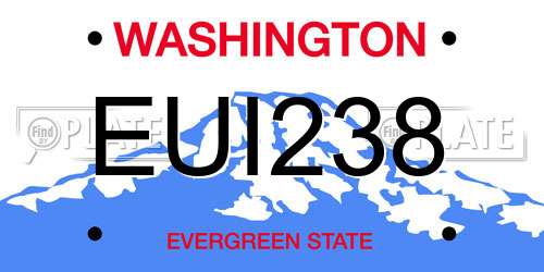 EUI238 Washington License Plate