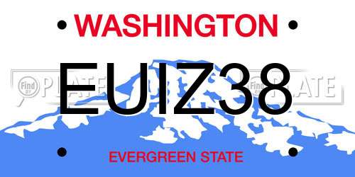 EUIZ38 Washington License Plate