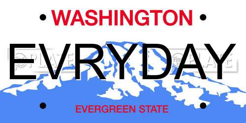 EVRYDAY Washington License Plate