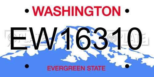 EW16310 Washington License Plate