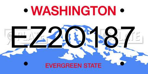 EZ2O187 Washington License Plate