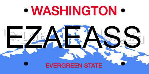 EZAEASS Washington License Plate