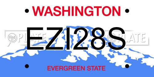 EZI28S Washington License Plate