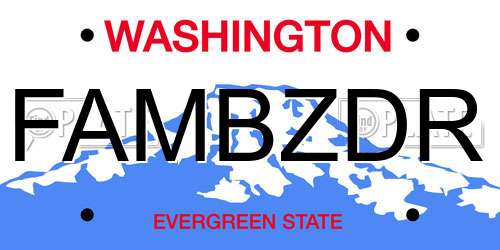 FAMBZDR Washington License Plate
