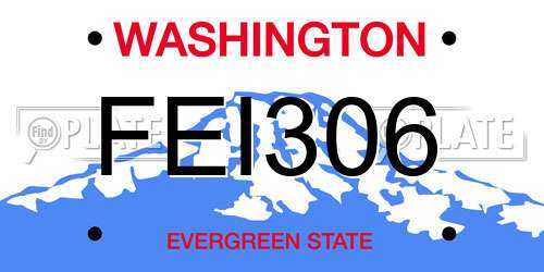 FEI306 Washington License Plate