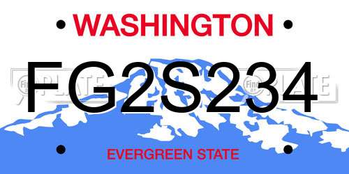 FG2S234 Washington License Plate