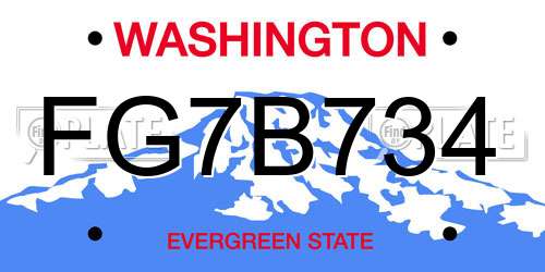 FG7B734 Washington License Plate