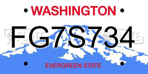 FG7S734 Washington License Plate
