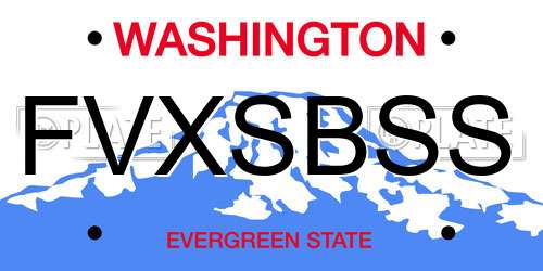 FVXSBSS Washington License Plate