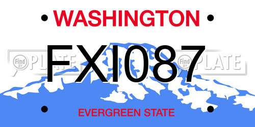 FXI087 Washington License Plate