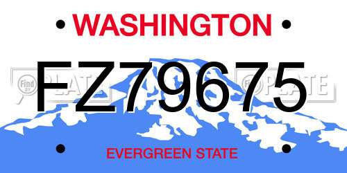 FZ79675 Washington License Plate