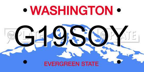 G19SOY Washington License Plate